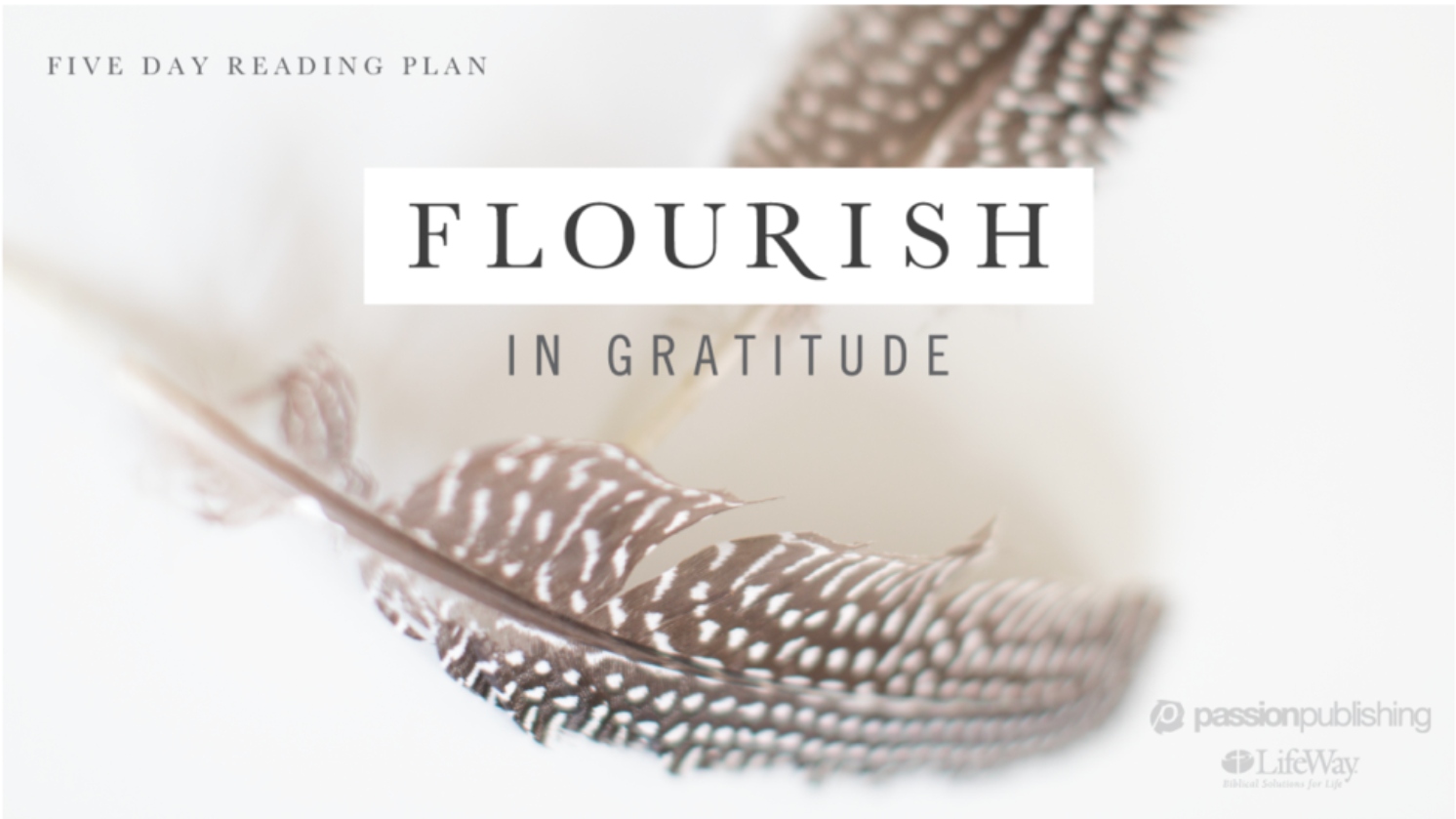 Flourish in Gratitude
